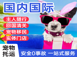黔东南黎平机场物流国际宠物托运 【国